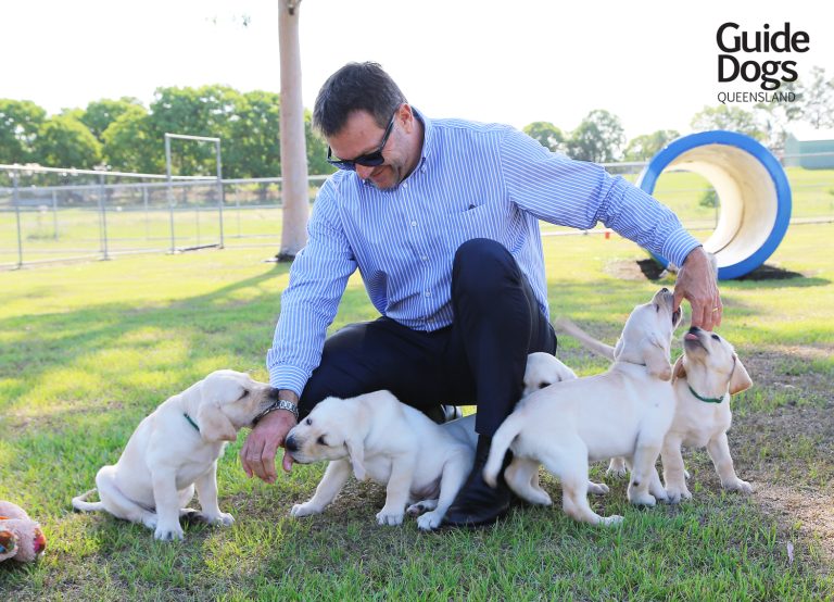 GDQ_Cornettes_ELitter_06S